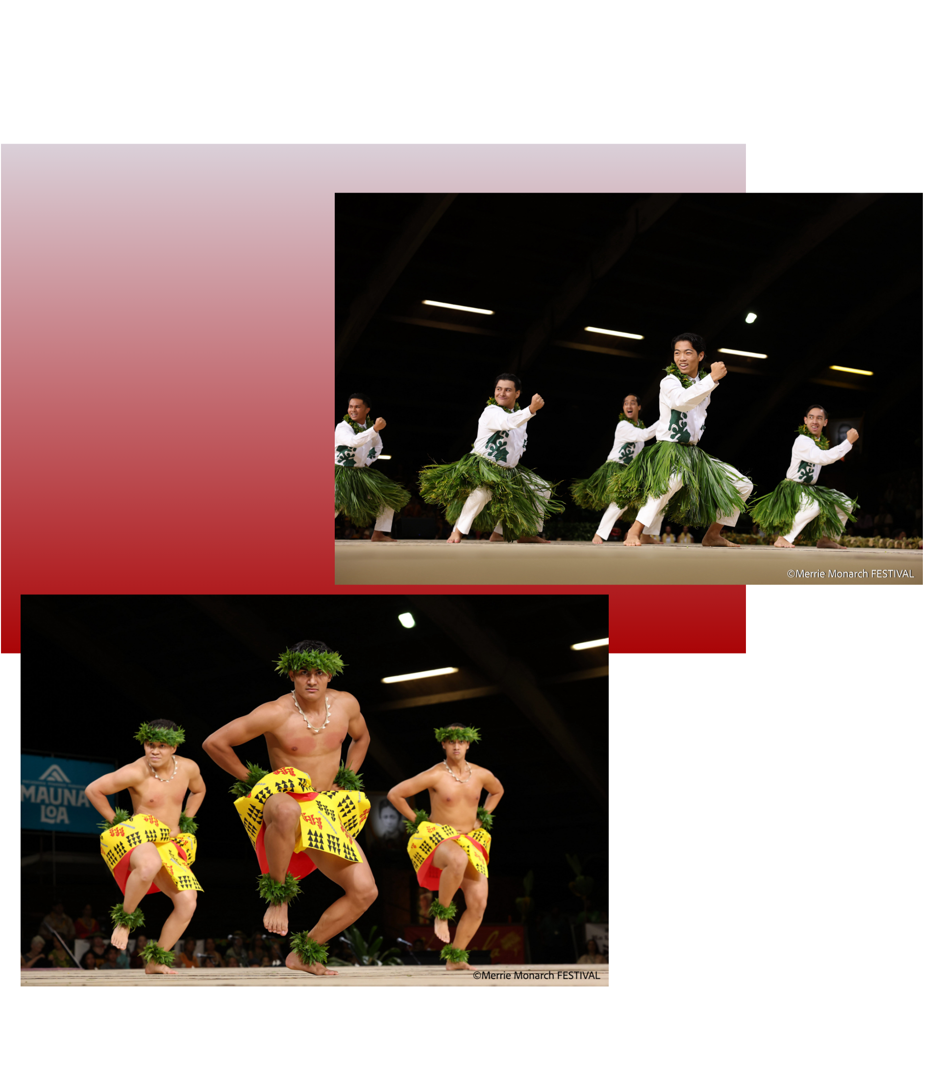 Kawai‘ulaokalā Kumu : Keli‘iho‘omalu Puchalski カネ総合4位